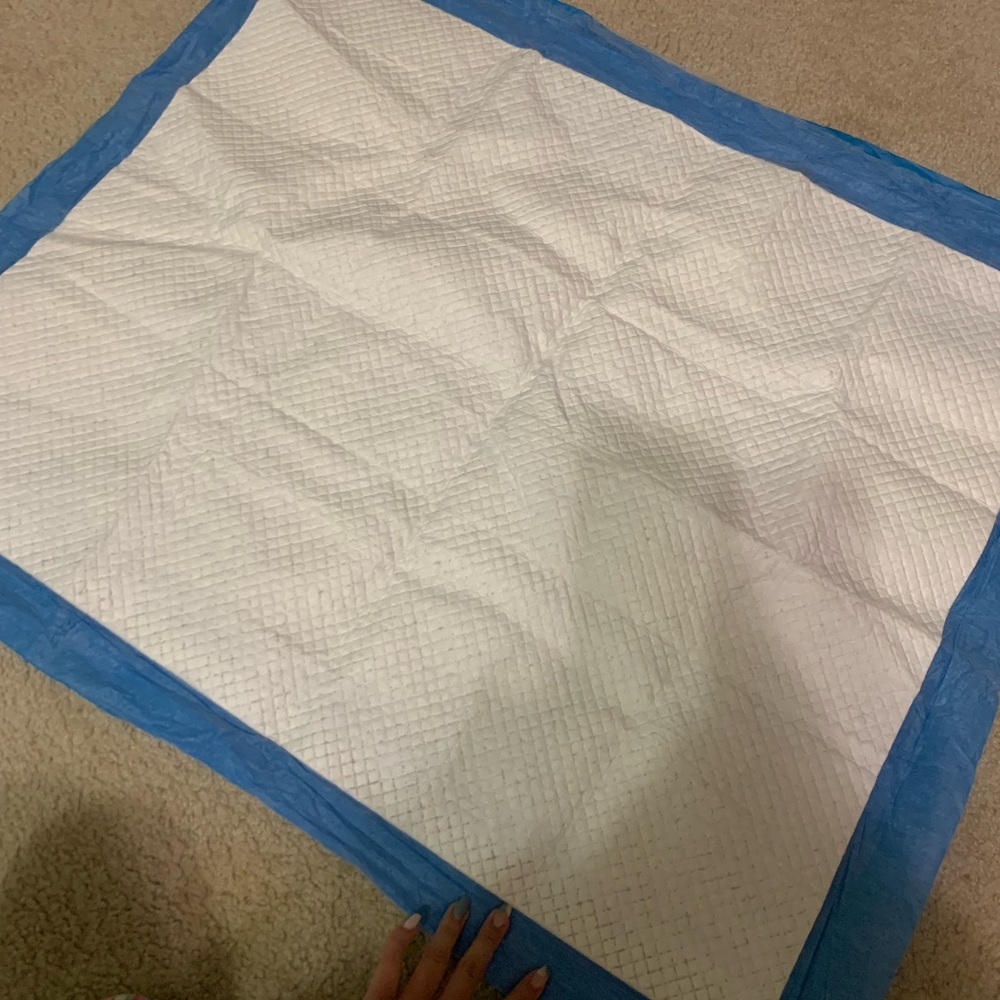 Frisco XL Potty Pads